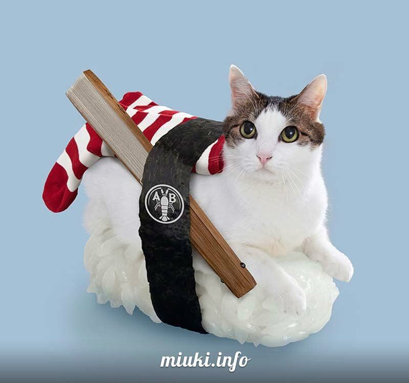 Котосуши покорили Японию
