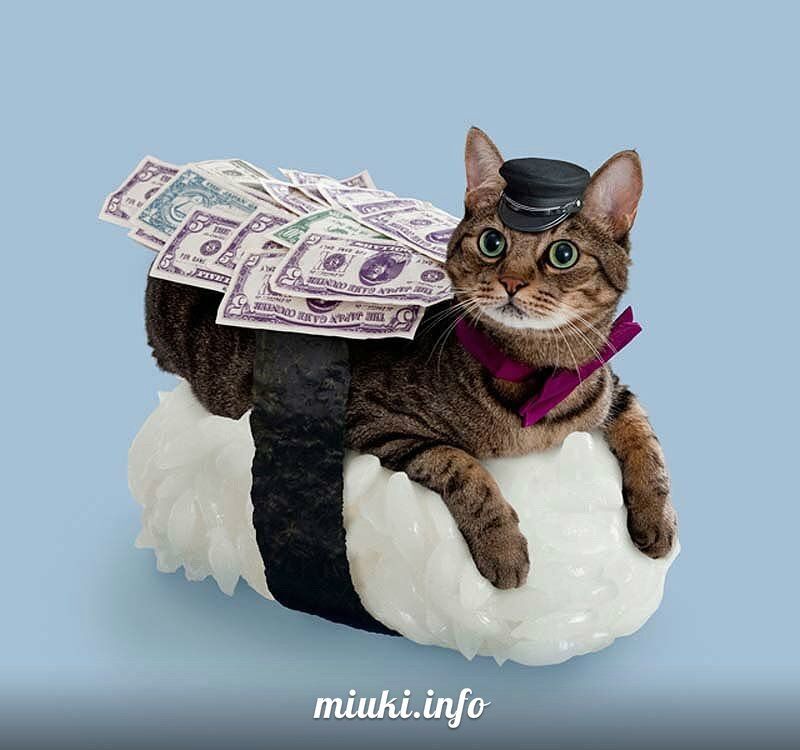 Котосуши покорили Японию