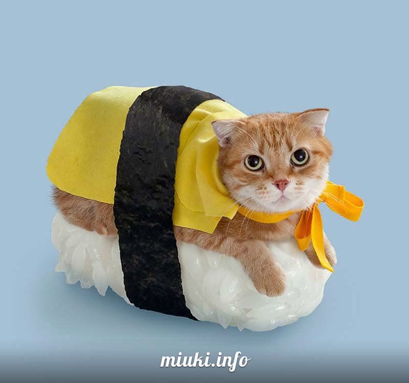 Котосуши покорили Японию