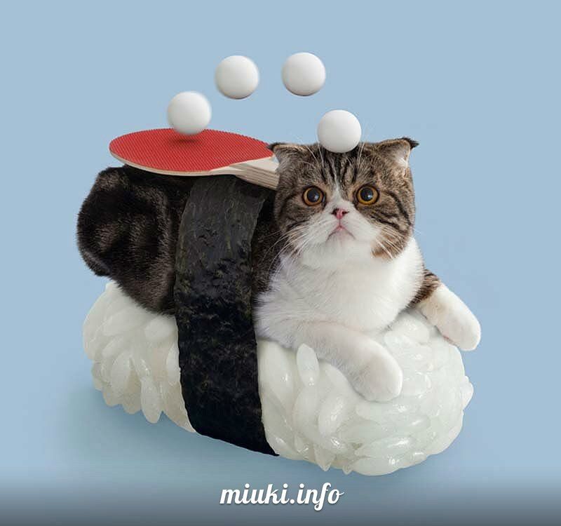 Котосуши покорили Японию