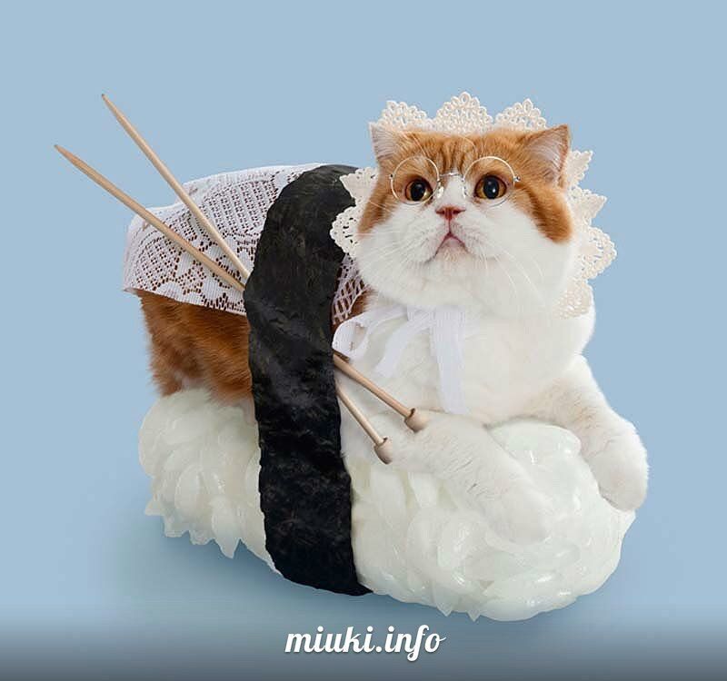 Котосуши покорили Японию