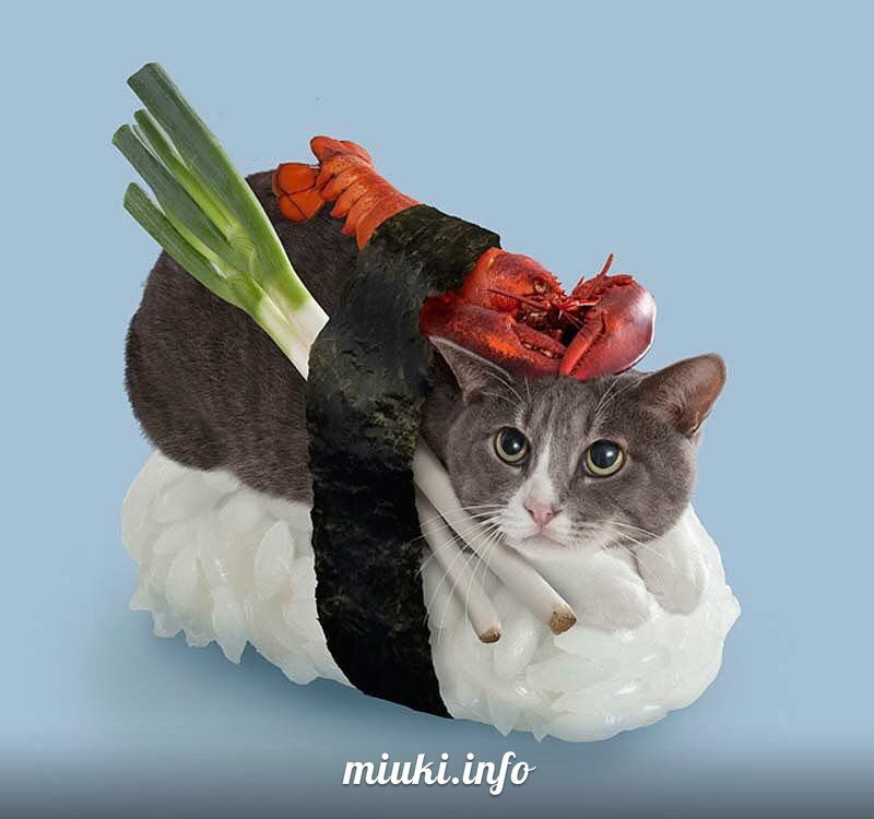 Котосуши покорили Японию