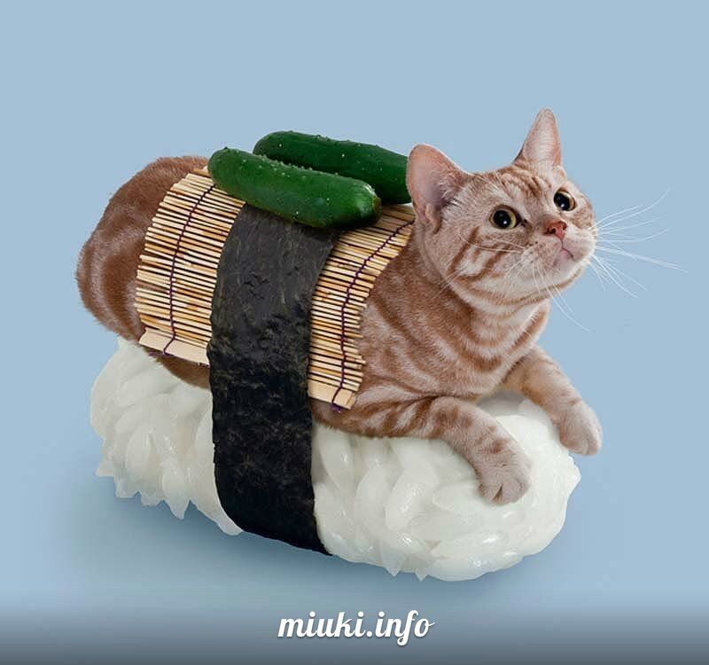 Котосуши покорили Японию