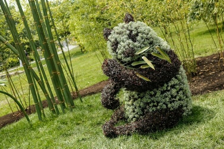 В Канаде "выросли" гигантские скульптуры из растений