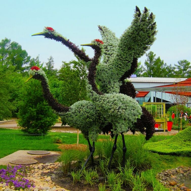 В Канаде "выросли" гигантские скульптуры из растений