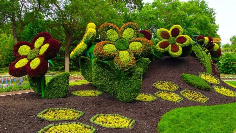 В Канаде "выросли" гигантские скульптуры из растений