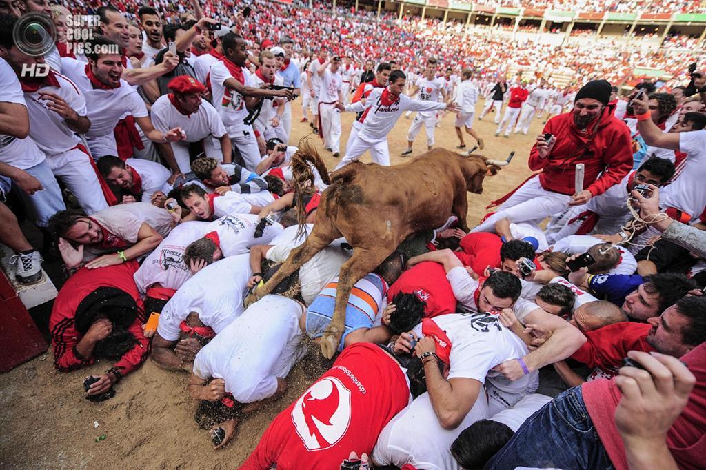 Небезпечна сторона "Сан-Ферміна". З биками жарти погані
