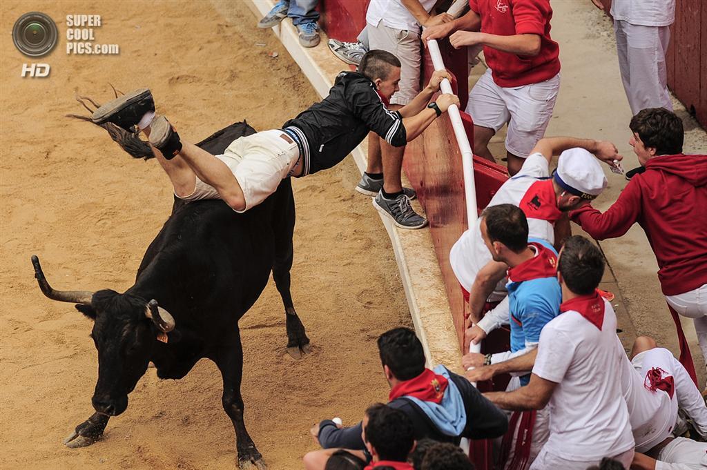 Небезпечна сторона "Сан-Ферміна". З биками жарти погані