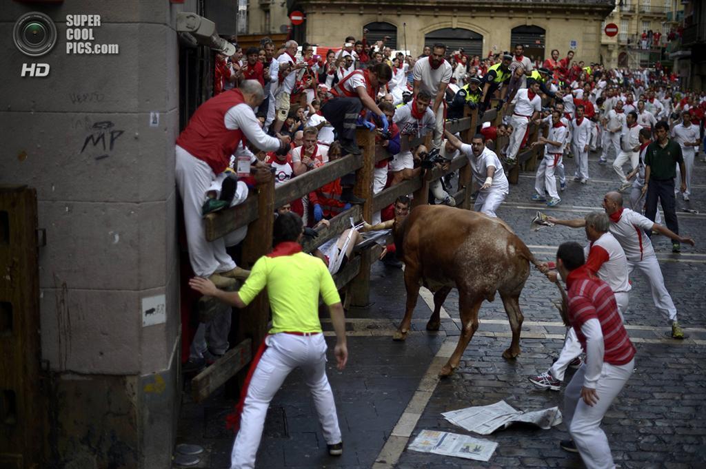 Небезпечна сторона "Сан-Ферміна". З биками жарти погані