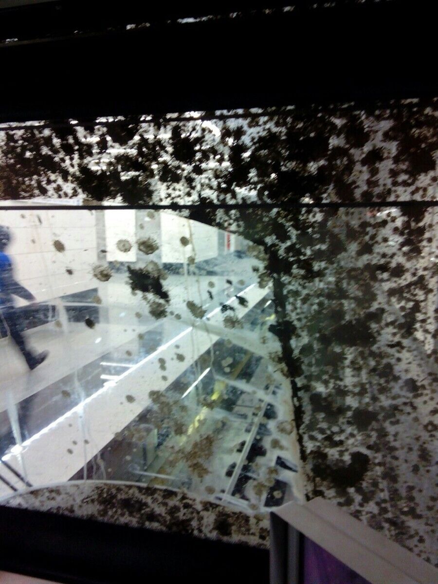 Рассказ машиниста московского метро о реальных причинах аварии