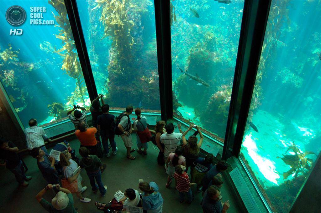 Топ-5 найбільш величезних акваріумів в світі