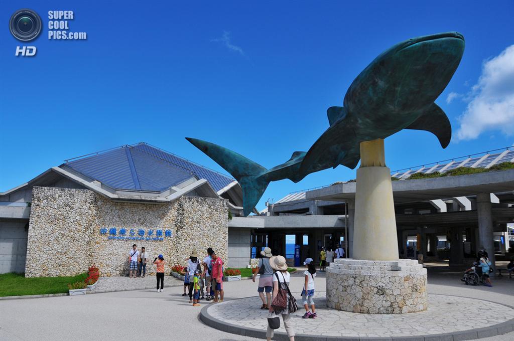 Топ-5 самых огромных аквариумов в мире