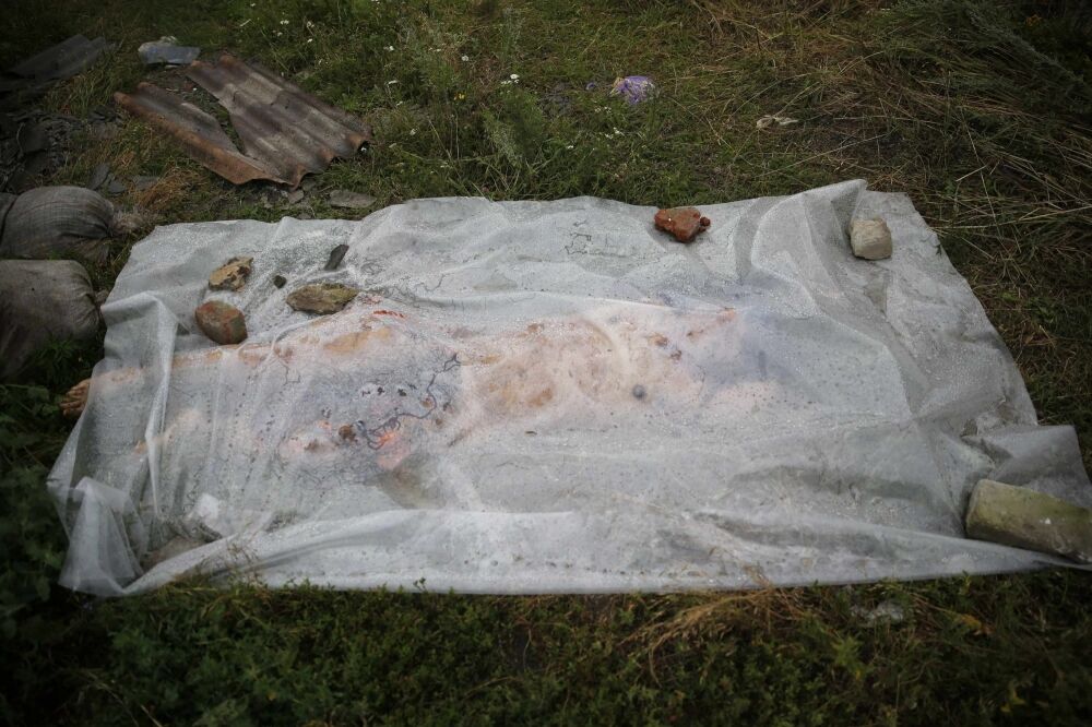 З'явилися нові фотографії з місця катастрофи авіалайнера на Донбасі (18 +)