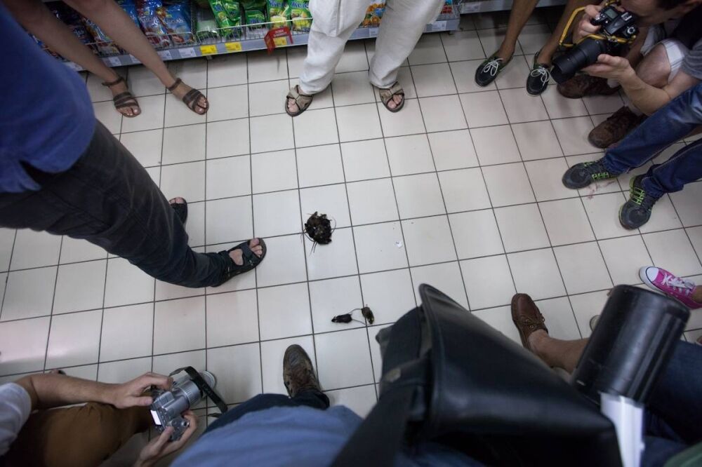 У львівському супермаркеті на російські товари нацькували мишей