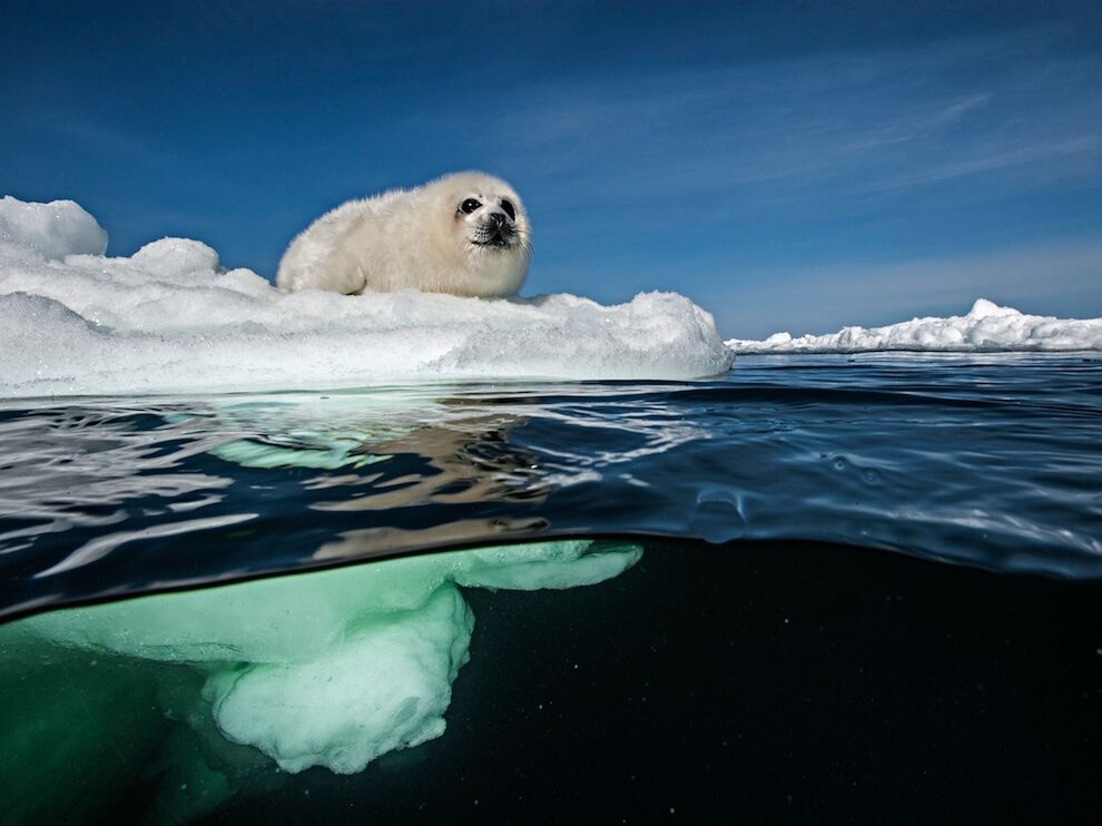 Лучшие фото недели от National Geographic