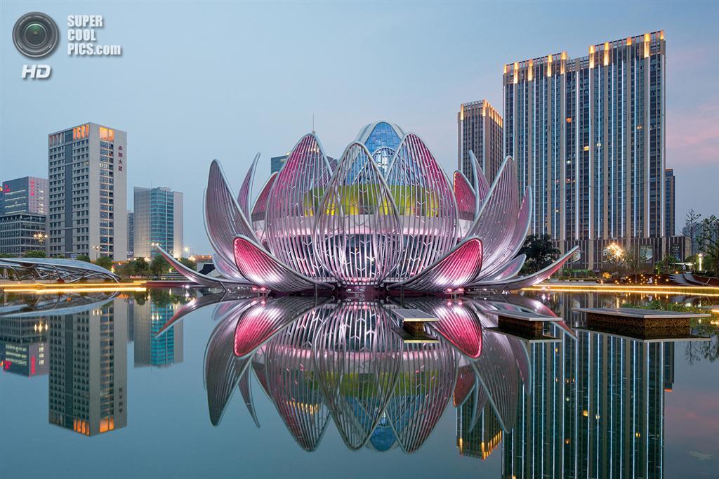 Лотос Чанчжоу