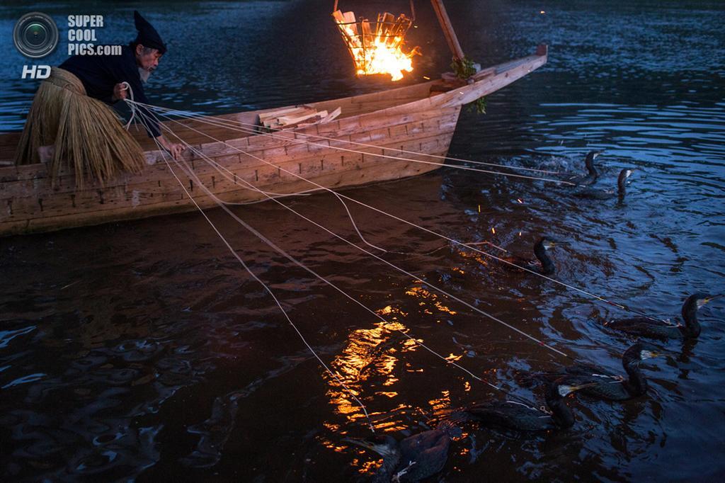 Ночная рыбалка с бакланами