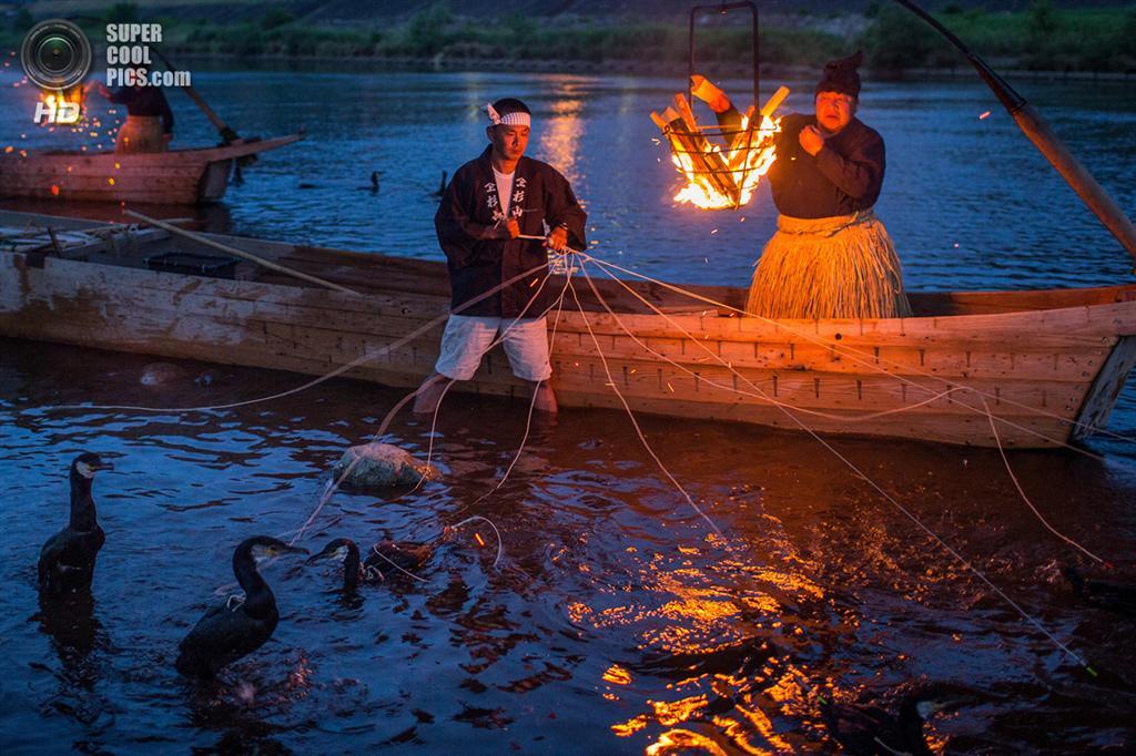 Ночная рыбалка с бакланами