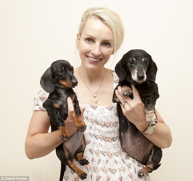 Женщина за $90 тыс. получила клон своей еще живой собаки