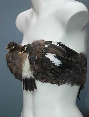 Лифчики из птиц и алюминиевые трусы. Самое необычное нижнее белье