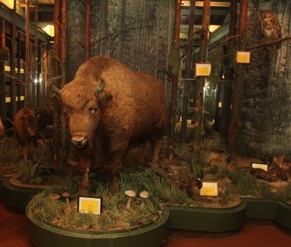 Президентська резиденція "Залісся" стала доступною для відвідувань