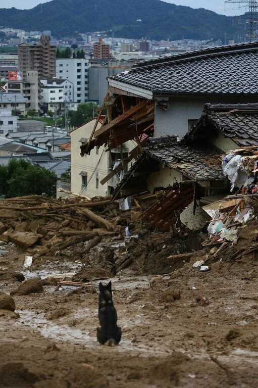 Япония: из-за оползней погибло 39 человек