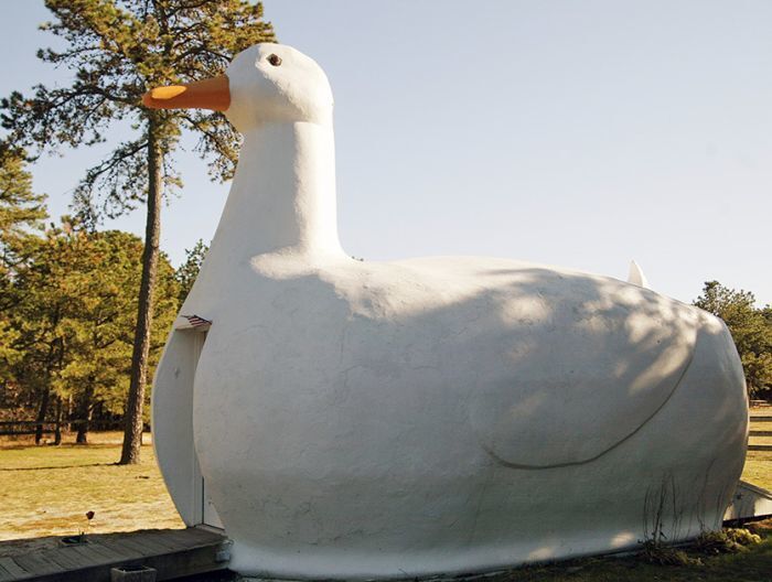 Необычные жилые здания в виде животных