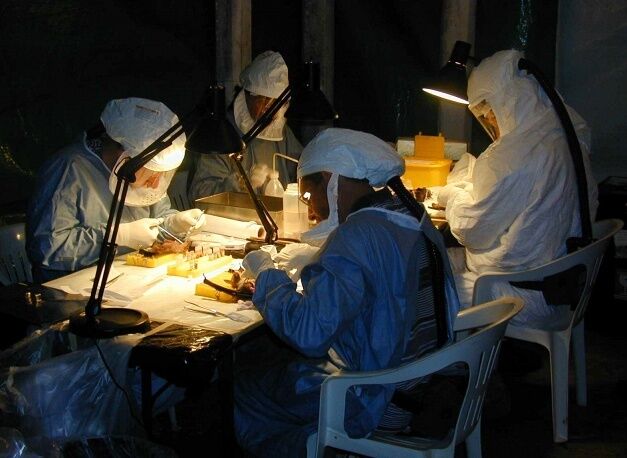 Россия отказалась верить в "сомнительную" опасность Эболы