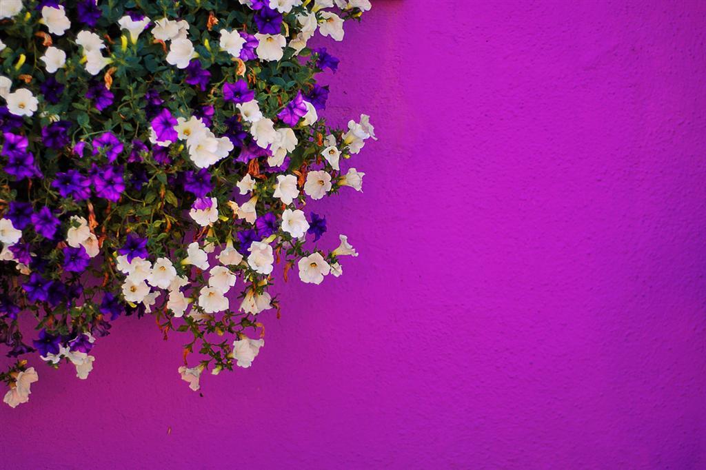 Бурано. Радужный район Венеции