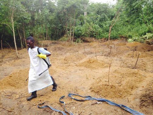 Власти Либерии попросили людей не выбрасывать зараженных Эболой на улицу