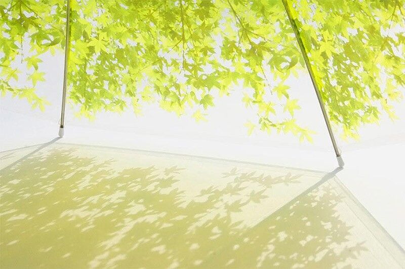 19 удивительных зонтов для осени