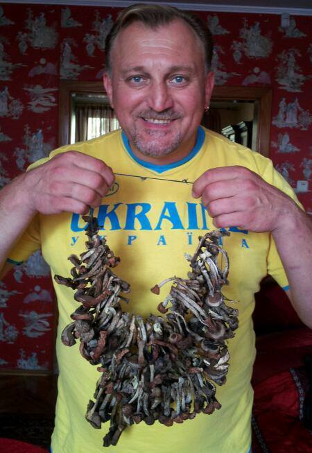 Вирастюк будет собирать в Карпатах грибы для украинской армии