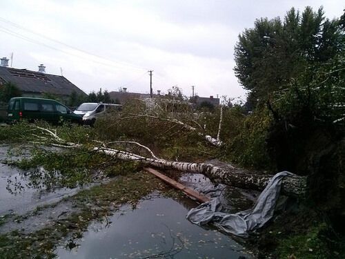 На Ривненщине огромная воронка смерча снесла крыши домов и выкорчевала деревья