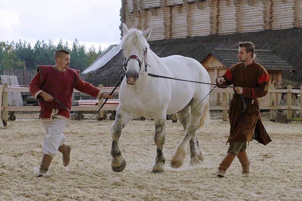 Древний Киев зовет в "Царство лошадей"