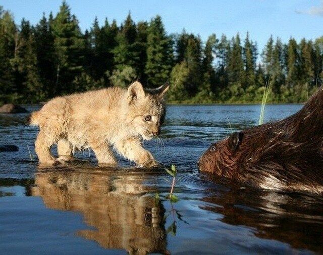 Фото, на которые невозможно смотреть равнодушно