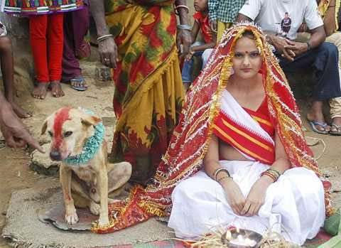 В Индии де вушку заставили выйти замуж за собаку
