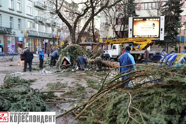 В Ивано-Франковске шквальный ветер повалил главную елку города: фото ЧП