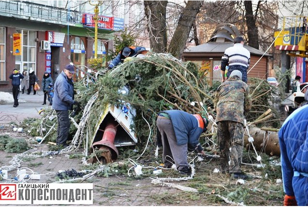 В Ивано-Франковске шквальный ветер повалил главную елку города: фото ЧП