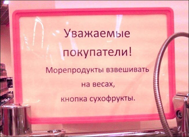 Вход только синичкам, снегирям вход воспрещен. Прикольные надписи и объявления