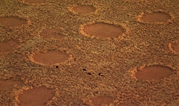 Мировые тайны, которые все же удалось раскрыть