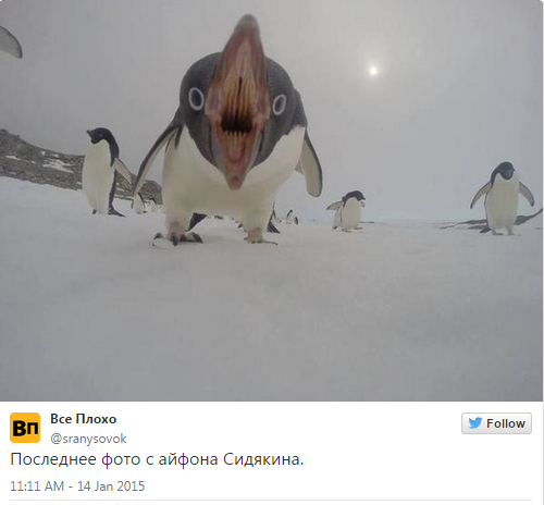 Путін, спаси від пінгвінобандеровців! - соцмережі тролять депутатів Держдуми, що загубилися в Антарктиді 