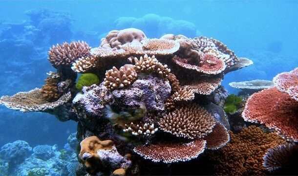 Мировые тайны, которые все же удалось раскрыть