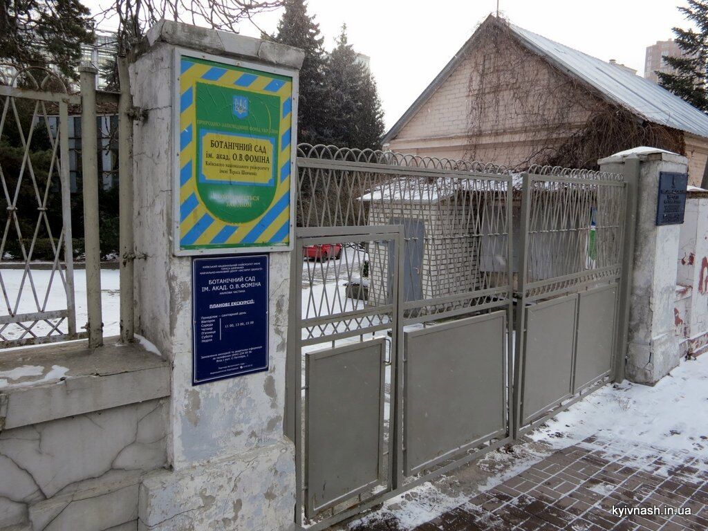 Опубликованы фото из оранжерей киевского ботсада: что можно увидеть посреди зимы