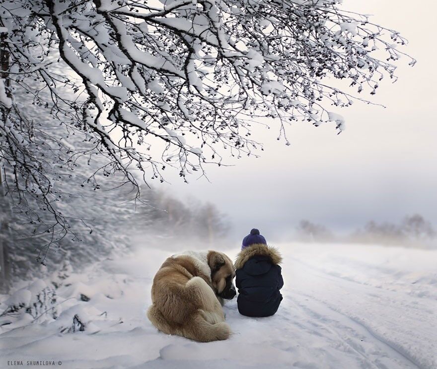 Россиянка создает потрясающие фотографии своих детей с животными в деревне