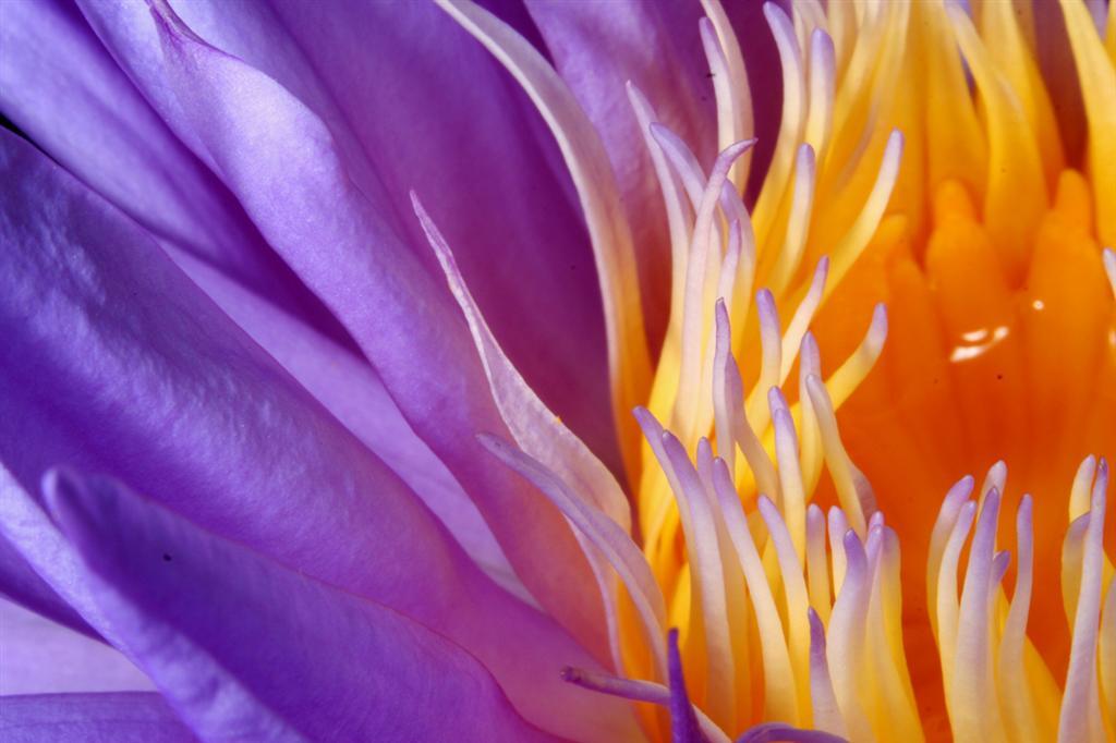 Африканский рай. Путешествие на Занзибар