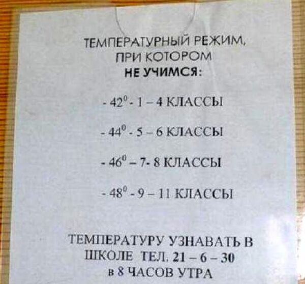 Самые неожиданные фото из школ России, которые вас рассмешат