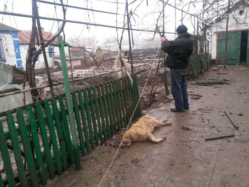 Террористы обстреляли Сартану под Мариуполем: разрушено 20 домов, жертв нет. Фото- и видеофакт