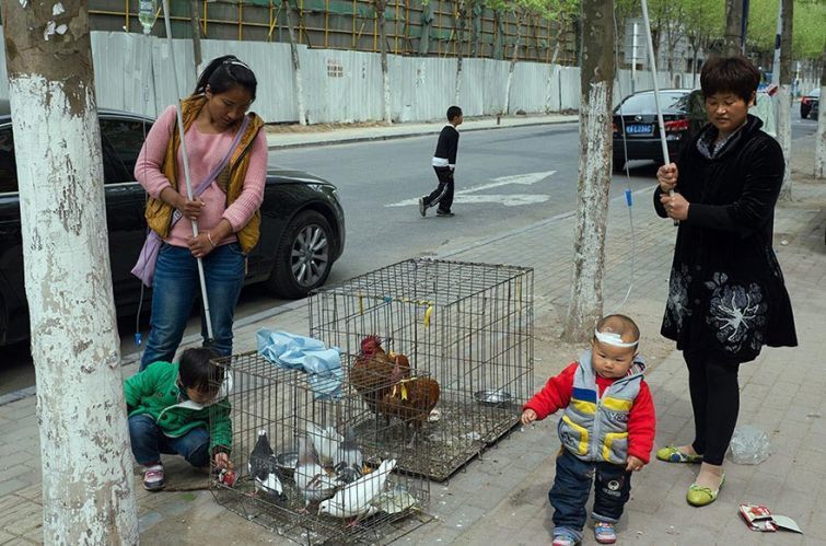 Китайский фотограф представил неожиданные, а иногда и забавные моменты из жизни