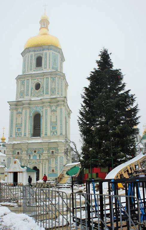 В Киеве демонтировали главную елку страны: опубликованы фото