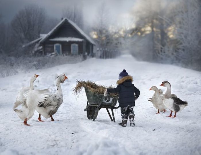 27 креативных снимков, которые заставят вас улыбнуться 